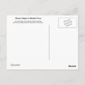 サンタクルーズはがき内の雪のキャップ ポストカード (裏面)