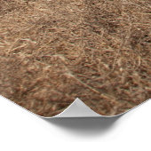 サンタクルーズアイランドシリーズ10 ポスター (角)