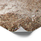 サンタクルーズアイランドシリーズ11 ポスター (角)