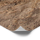 サンタクルーズアイランドシリーズ8 ポスター (角)