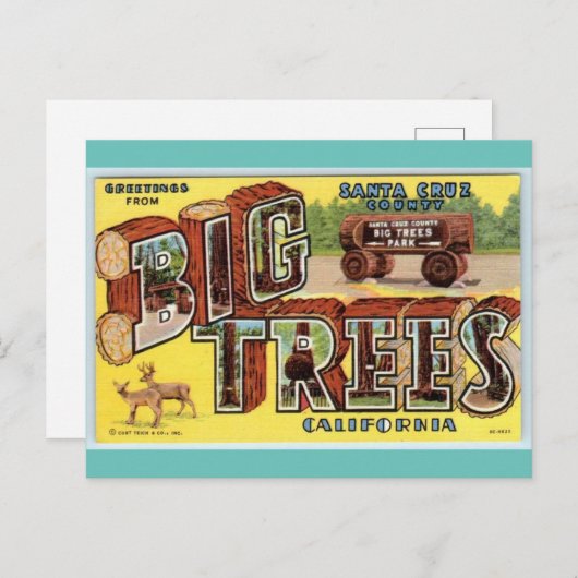サンタクルーズカリフォルニアヴィンテージアートからの挨拶 ポストカード (正面/裏面)