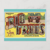 サンタクルーズカリフォルニアヴィンテージアートからの挨拶 ポストカード (正面)