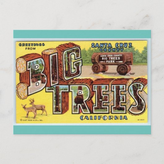 サンタクルーズカリフォルニアヴィンテージアートからの挨拶 ポストカード (正面)