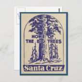 サンタクルーズカリフォルニア – ビッグツリーズの本拠地 ポストカード (正面/裏面)