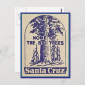 サンタクルーズカリフォルニア – ビッグツリーズの本拠地 ポストカード (正面/裏面)