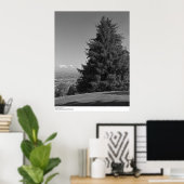 サンタクルーズキャンパス、1967年4月 ポスター (ホームオフィス)