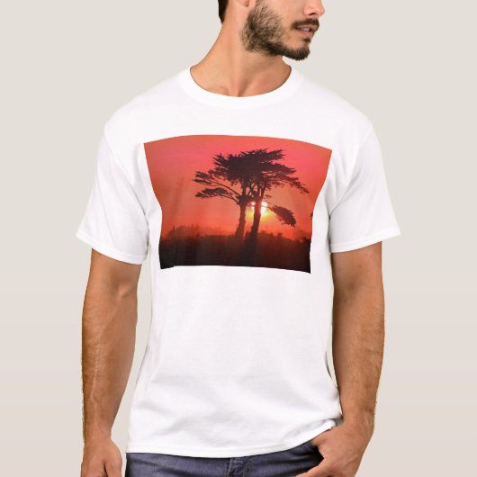 サンタクルーズサハラ Tシャツ (正面)