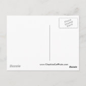 サンタクルーズサーファー博物館カリフォルニア製品 ポストカード (裏面)