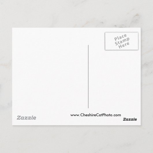 サンタクルーズサーファー博物館カリフォルニア製品 ポストカード (裏面)