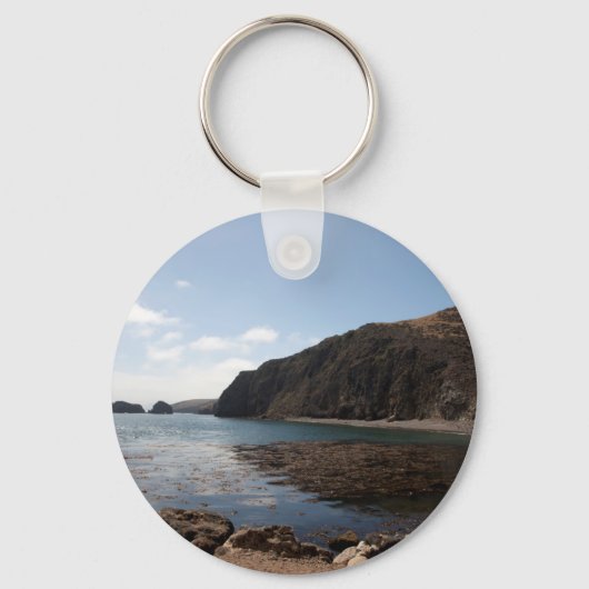 サンタクルーズシリーズ9 キーホルダー (正面)