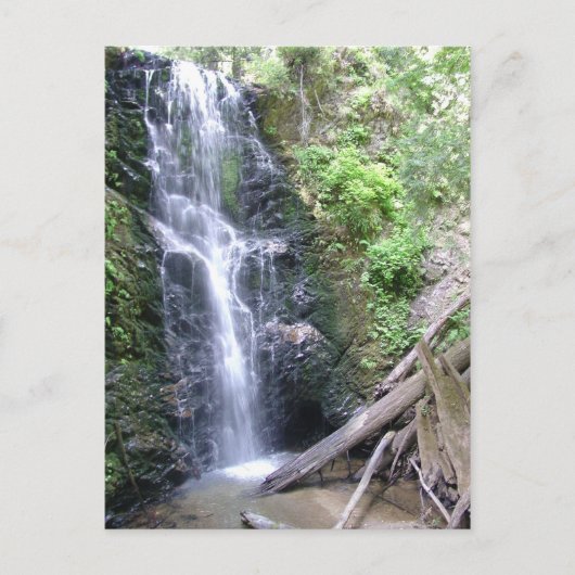 サンタクルーズ山地ビッグベイスン ポストカード (正面)