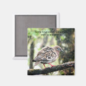 サンタクルーズ島，ガラパゴス，雨の中の鳥 マグネット (正面/裏面)