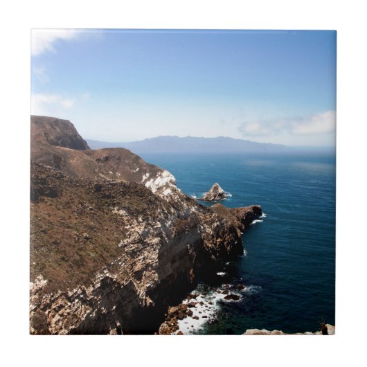 サンタクルーズ島 タイル (正面)