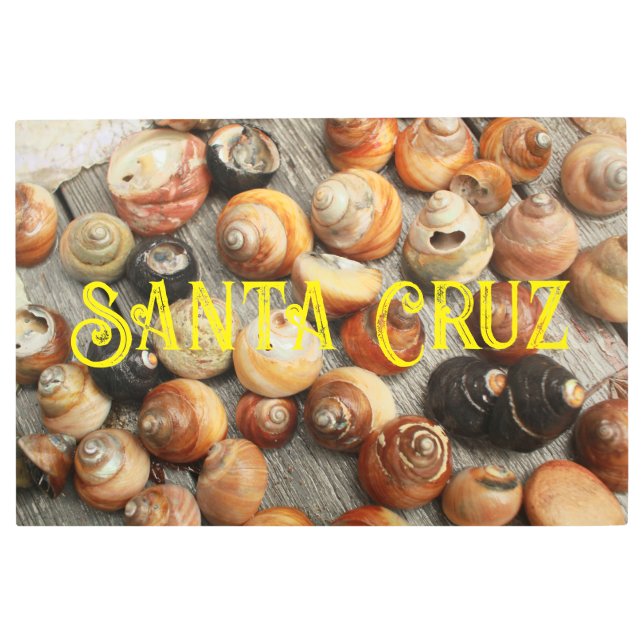 サンタクルーズ貝殻クローズアップ黄色レタリング メタルプリント (正面)