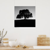 サンタクルーズ近くのオークツリー、1963年1月 ポスター (キッチン)