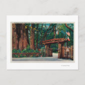 サンタクルーズ郡大樹公園への入り口 ポストカード (正面)