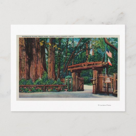 サンタクルーズ郡大樹公園への入り口 ポストカード (正面)
