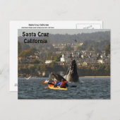 サンタクルーズ,カリフォルニアのザトウクジラ葉書 ポストカード (正面/裏面)