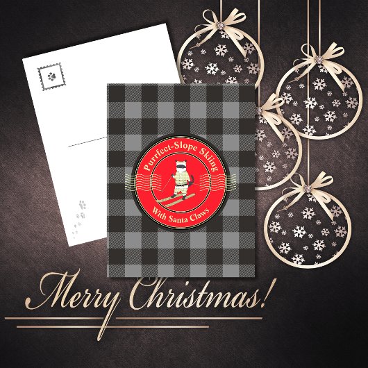 サンタクロースとネコの完璧な斜面スキー シーズンカード