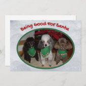 サンタクロースに適したクリスマスプードル シーズンカード (正面/裏面)