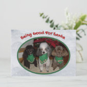 サンタクロースに適したクリスマスプードル シーズンカード (スタンド正面)