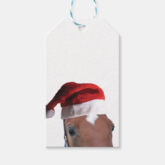 サンタクロースのクリスマスホース ギフトタグ (正面)
