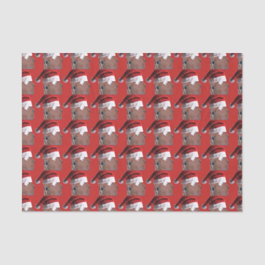 サンタクロースのクリスマスホース 薄葉紙 (正面)