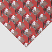 サンタクロースのクリスマスホース 薄葉紙 (詳細)