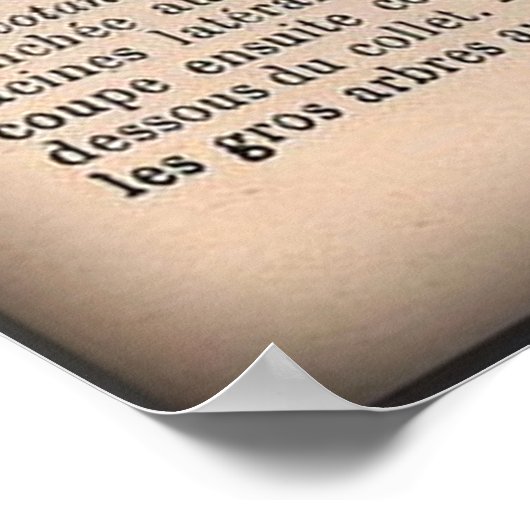 サンタクロースのクリスマスポスター ポスター (角)