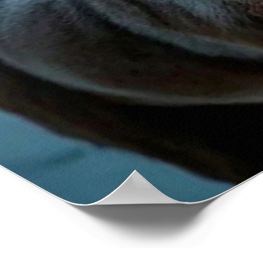 サンタクロースのポスター ポスター (角)