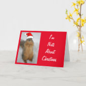 サンタクロースの帽子をかぶったかわいいリス カード (黄色い花)