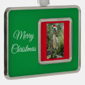 サンタクロースの帽子をかぶったTREX恐竜 シルバープレートフレームオーナメント (右)