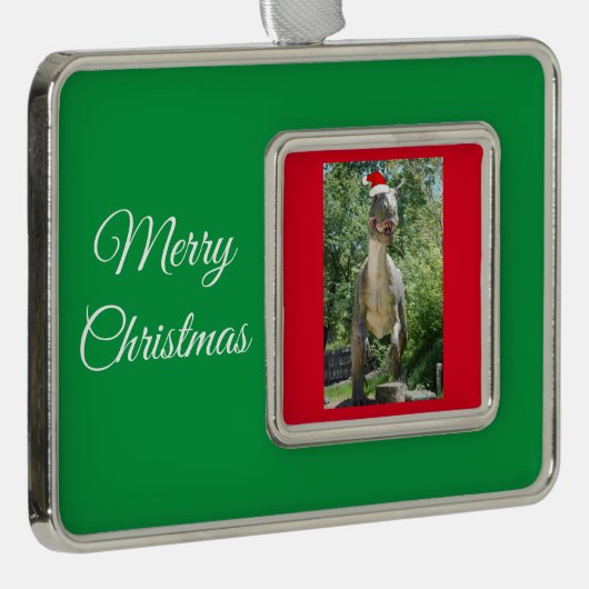 サンタクロースの帽子をかぶったTREX恐竜 シルバープレートフレームオーナメント (右)