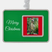 サンタクロースの帽子をかぶったTREX恐竜 シルバープレートフレームオーナメント (正面)