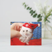サンタクロースの帽子を持つかわいい小型ハムスターTutku シーズンポストカード (スタンド正面)