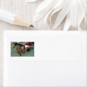 サンタクロースの帽子を被ったドイツの羊飼い ラベル (インサイチュ)