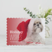 サンタクロースの帽子を身に着けているシーズー(犬)のTzu犬 シーズンカード (スタンド正面)