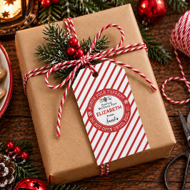 サンタクロースの特別便クリスマス ギフトタグ