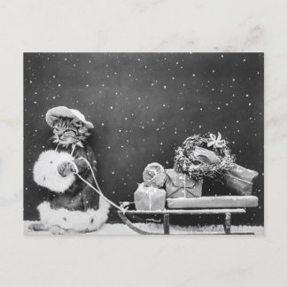サンタクロースの猫、サンタネコ ポストカード
