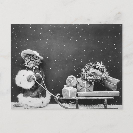 サンタクロースの猫、サンタネコ ポストカード (正面)