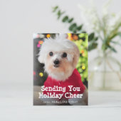 サンタクロースの赤いスーツの白いマルタ犬 シーズンポストカード (スタンド正面)