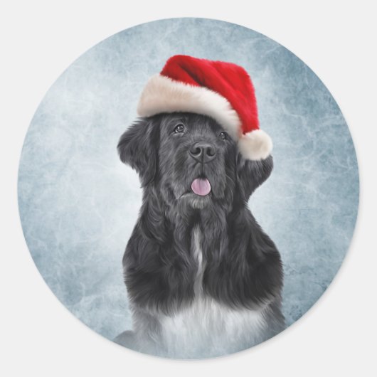 サンタクロースの赤い帽子をかぶった犬のニューファンドランド ラウンドシール (正面)
