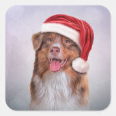 サンタクロースの赤帽子のオーストラリアの羊飼い3 スクエアシール (正面)