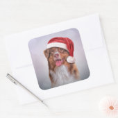 サンタクロースの赤帽子のオーストラリアの羊飼い3 スクエアシール (封筒)