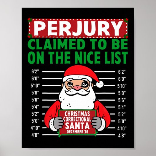 サンタクロースはニースの北極に乗っていると主張した ポスター (正面)