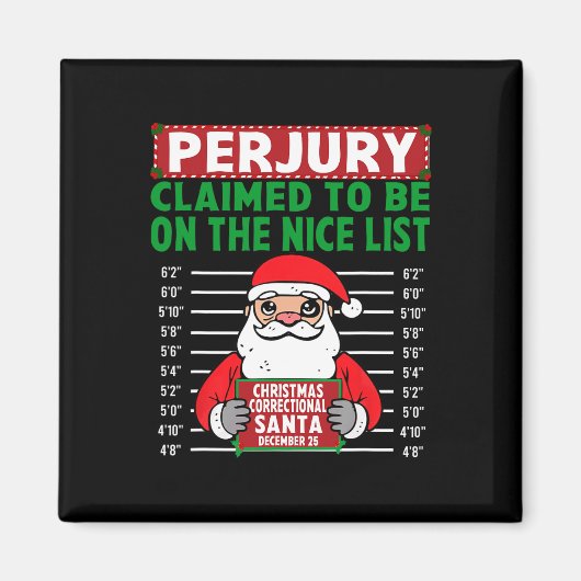 サンタクロースはニースの北極に乗っていると主張した マグネット (正面)