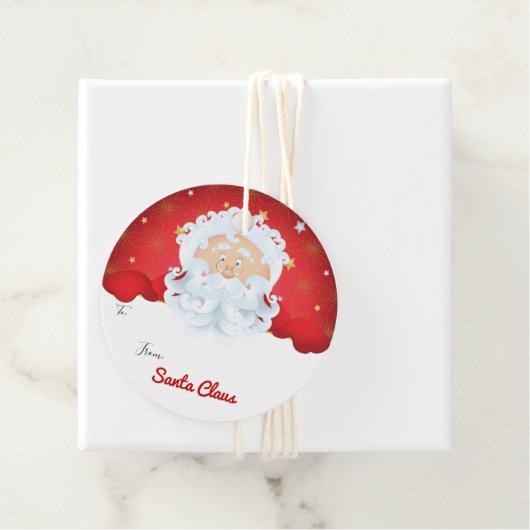 サンタクロースクリスマスホリデーギフト フェイバータグ (インサイチュ)