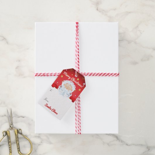サンタクロースクリスマスホリデーパーティー ギフトタグ (より糸付き)