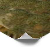 サンタクロースヴィンテージアンティーククリスマスツリー ポスター (角)