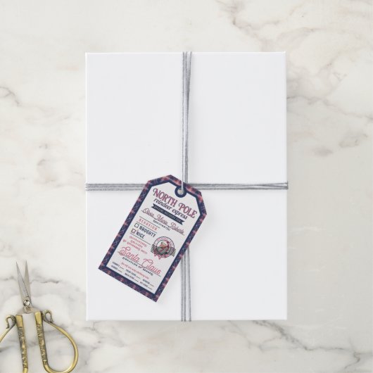 サンタクロース北極ピンク&ブループレイドクリスマス ギフトタグ (より糸付き)